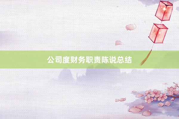 公司度财务职责陈说总结