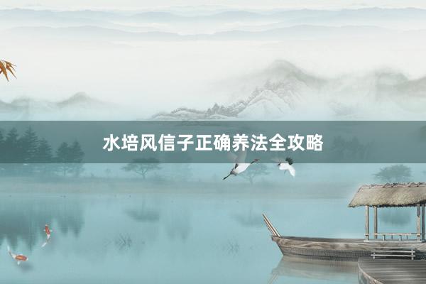 水培风信子正确养法全攻略
